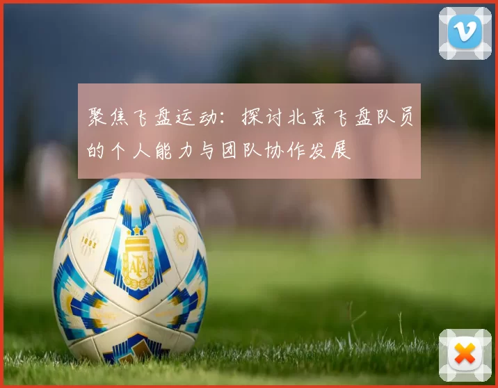聚焦飞盘运动：探讨北京飞盘队员的个人能力与团队协作发展