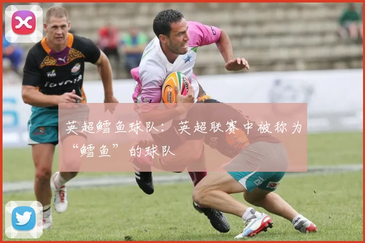 英超鳕鱼球队：英超联赛中被称为“鳕鱼”的球队