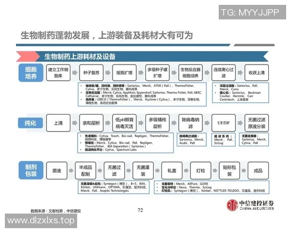 北京篮球队灵活性变革引发热议新战术与球员适应能力的深度探讨