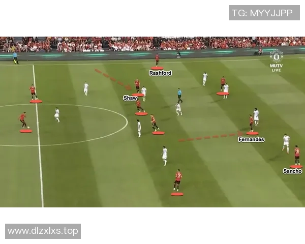 南京排球队的反击革新之路：重塑战术与团队精神的全新探索